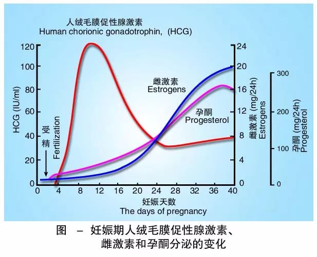 懷孕期間HCG低怎么辦？